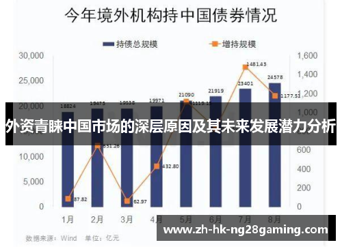 外资青睐中国市场的深层原因及其未来发展潜力分析