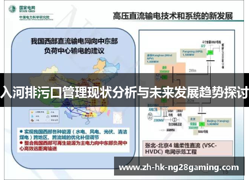 入河排污口管理现状分析与未来发展趋势探讨