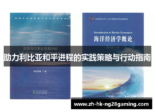 助力利比亚和平进程的实践策略与行动指南