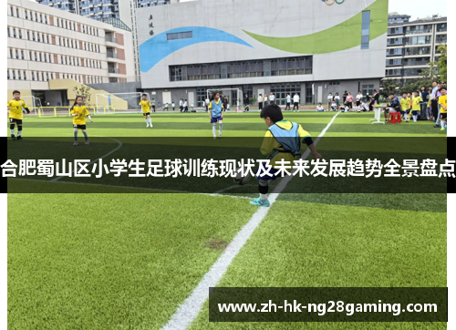 合肥蜀山区小学生足球训练现状及未来发展趋势全景盘点