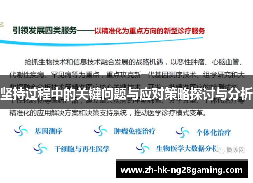 坚持过程中的关键问题与应对策略探讨与分析