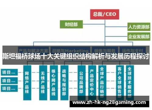 斯坦福桥球场十大关键组织结构解析与发展历程探讨
