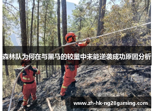 森林队为何在与黑马的较量中未能逆袭成功原因分析