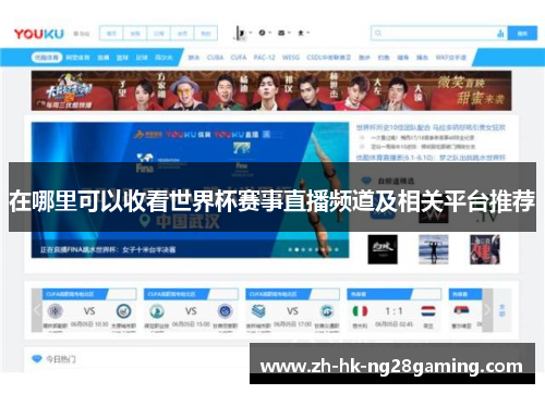 在哪里可以收看世界杯赛事直播频道及相关平台推荐