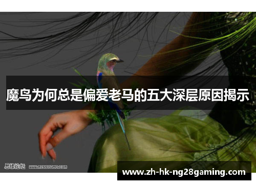 魔鸟为何总是偏爱老马的五大深层原因揭示